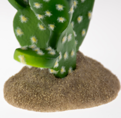 Tera Opuncie cactus 16cm