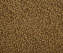 DAJANA ISF Coldwater pellets 250 ml pelety