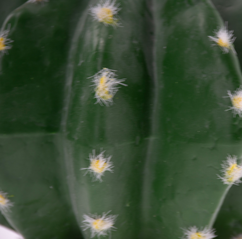 DUVO Tera Echinocactus 16,5x15,5x13cm