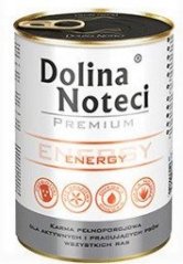 Dolina Noteci Premium Energy 400 g