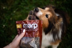 Marp Treats Buffalo Jerky - sušený jícen 100g
Marp Treats Buffalo Jerky - sušený jícen 100g