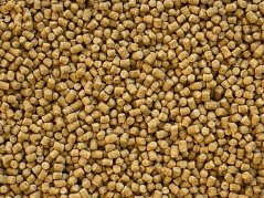 Dajana ISF Pond Pellets 1 000 ml pelety