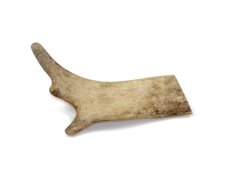 Marp Holistic - Dančí paroh, velikost S (51 - 80g)