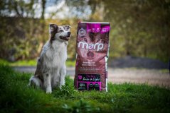 Marp Holistic Turkey S&L - krůtí senior&light bez obilovin 12kg