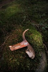 Marp Holistic - Jelení paroh, velikost M (80 - 120g)
Marp Holistic - Jelení paroh, velikost M (80 - 120g)