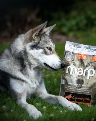 
                                    Marp Variety Countryside - kachní 2kg
                                