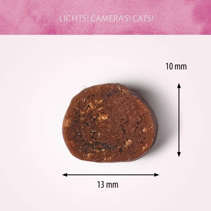 ANTOS Cat Snack s hovězím 50g