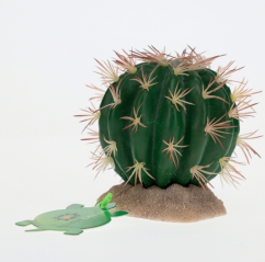 Tera Echinocactus M