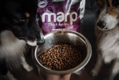 
                                    Marp Holistic White Mix SB - pro malá plemena bez obilovin 2kg
                                