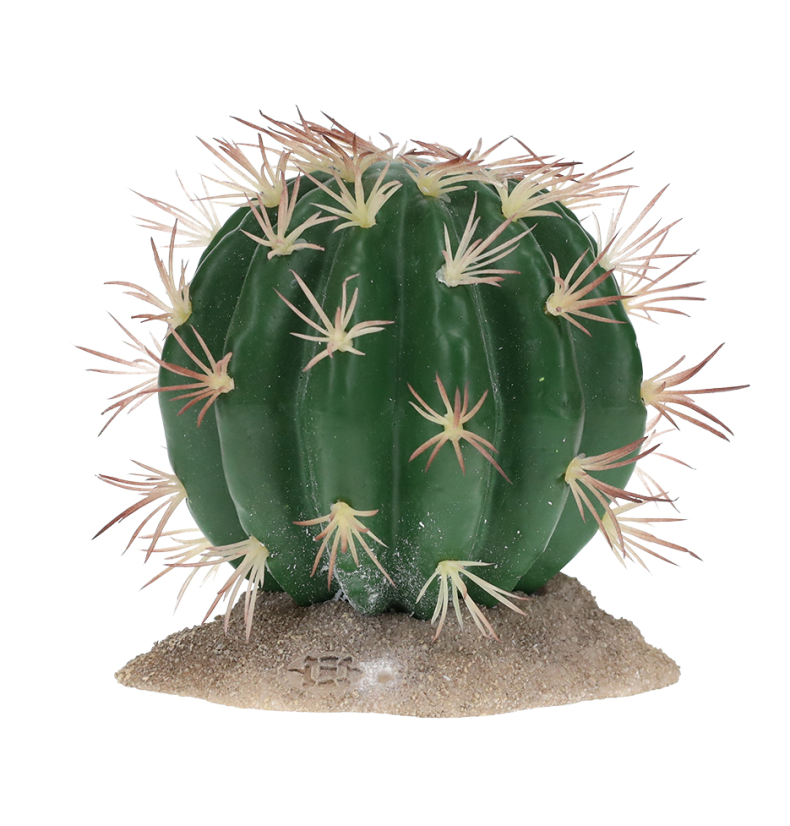 Tera Echinocactus M
