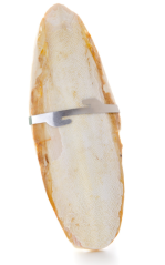 Sépiová kost velká 19cm.