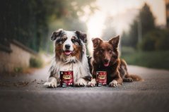 Marp Venison konzerva pro psy se zvěřinou 6x400g