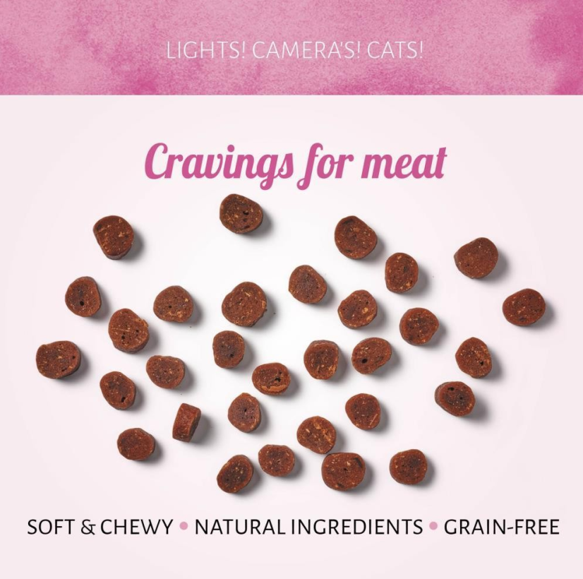 ANTOS Cat Snack s hovězím 50g
