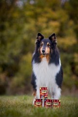 Marp Lamb konzerva pro psy s jehněčím 400g
Marp Lamb konzerva pro psy s jehněčím 400g