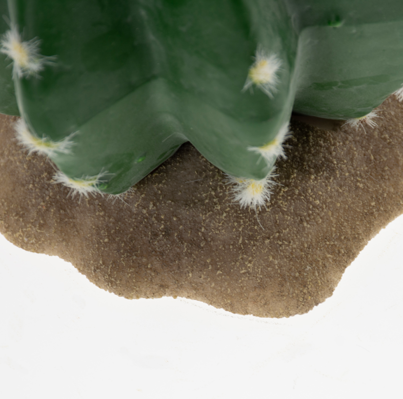 DUVO Tera Echinocactus 16,5x15,5x13cm