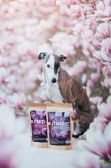 Marp Holistic White Mix - pamlsky pro psy 500g