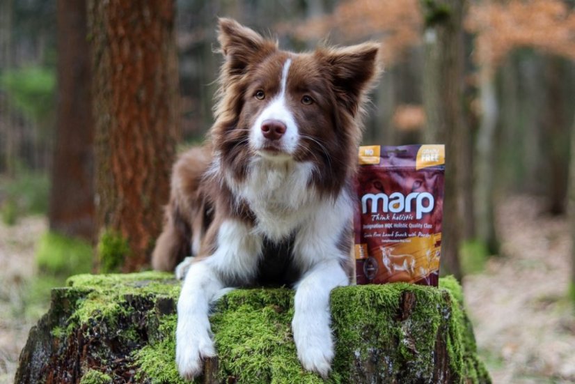 
                                    Marp Holistic – Jehněčí pamlsky s petrželí bez obilovin 150g
                                