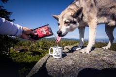 Marp vývar hovězí 230ml