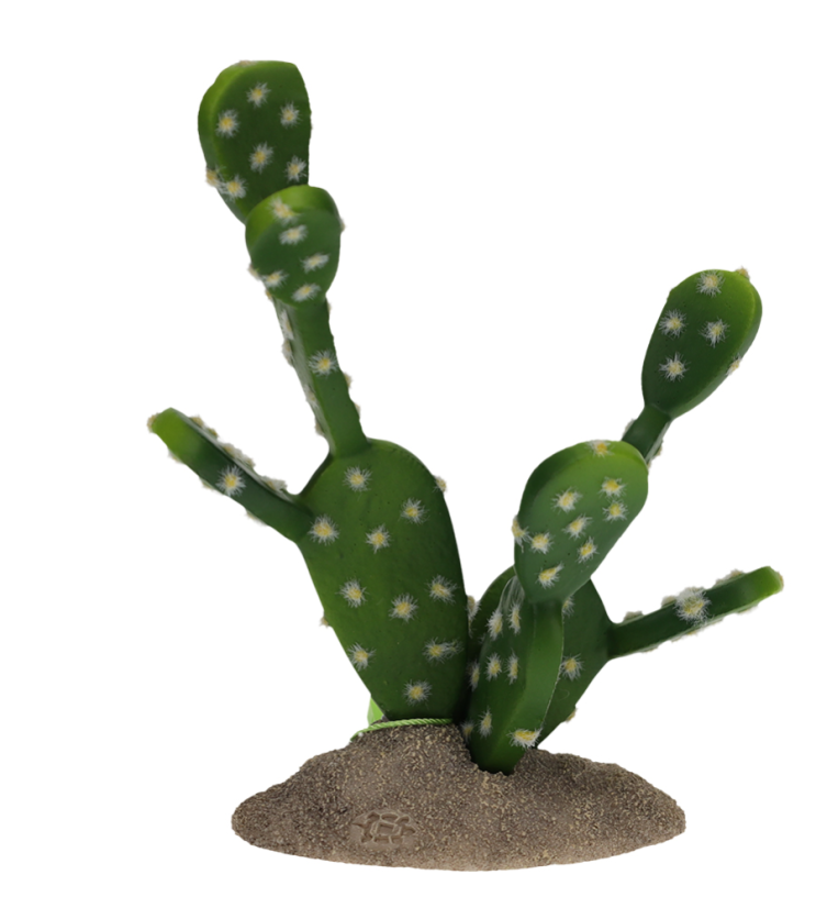 Tera Opuncie cactus 16cm