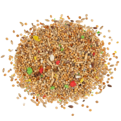 Witte Molen Country Budgie - andulka 2,5kg