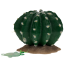 DUVO Tera Echinocactus 16,5x15,5x13cm