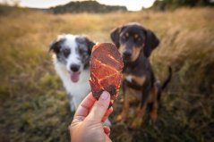 Marp Treats - Hovězí játra kousky 40g