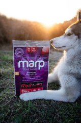 Marp Holistic Red Mix - hovězí,krůtí,zvěřina bez obilovin 2kg
Marp Holistic Red Mix - hovězí,krůtí,zvěřina bez obilovin 2kg