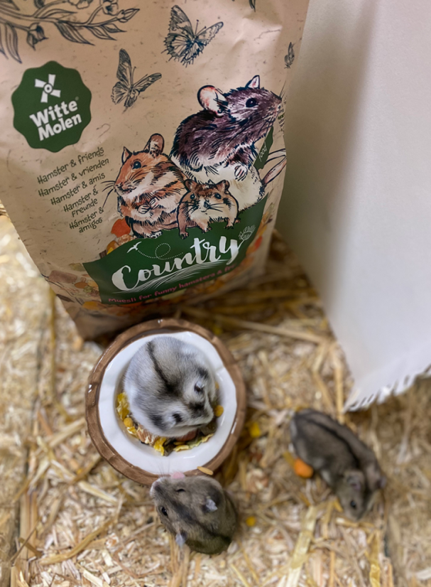 Witte Molen Country Hamster&Friends - dr.hlodavec 850 g