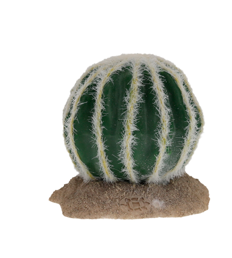 Tera Echinocactus M