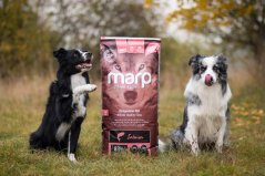 Marp Holistic Salmon - lososové bez obilovin 12kg
Marp Holistic Salmon - lososové bez obilovin 12kg