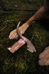 Marp Holistic - Jelení paroh, velikost XL (160 - 200g)
Marp Holistic - Jelení paroh, velikost XL (160 - 200g)