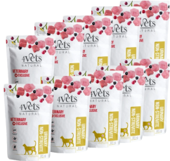 4Vets Cat Natural Veterinary Exclusive URINARY NON-STRUVITE 10x 85 g (kapsička)