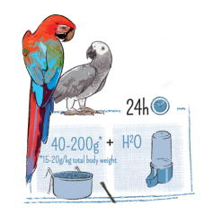 PUUR Parrot - velký papoušek 2 kg