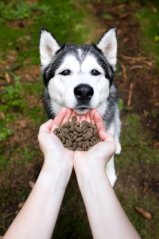 Marp Holistic Lamb - jehněčí bez obilovin 17kg