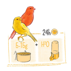 PUUR Canary - kanár 750 g
