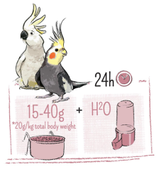 PUUR Large parakeet&cockatoo - stř. papoušek 750 g