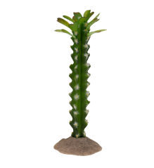 DUVO Tera Cactus Euphorbia 23,5cm