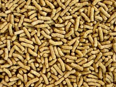 Dajana ISF Koi Pellets 1 000 ml pelety