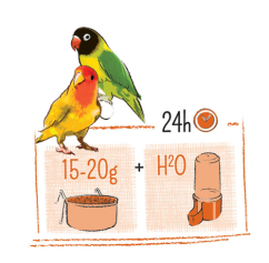 PUUR Lovebird - agapornis 750 g