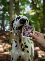 
                                    Marp Mix vanička pro psy kuře+zelenina 100g
                                