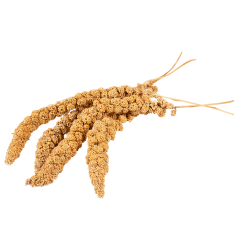 Witte Molen COUNTRY Senegalské proso 150g