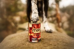 Marp Wild Boar konzerva pro psy s divočákem 400g