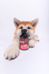 
                                    Marp Holistic - Lososový olej 250ml
                                