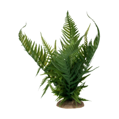 DUVO tera Kapradina L 34cm