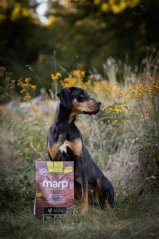 Marp Holistic Chicken - kuřecí bez obilovin 2kg
Marp Holistic Chicken - kuřecí bez obilovin 2kg