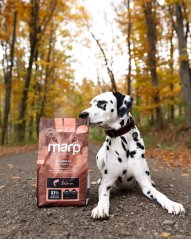 Marp Holistic Salmon - lososové bez obilovin 2kg