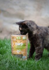 
                                    Marp Holistic Fresh Poultry - pamlsky pro kočky 150g
                                