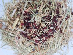 ZOO Seno s červenou řepou 450g
