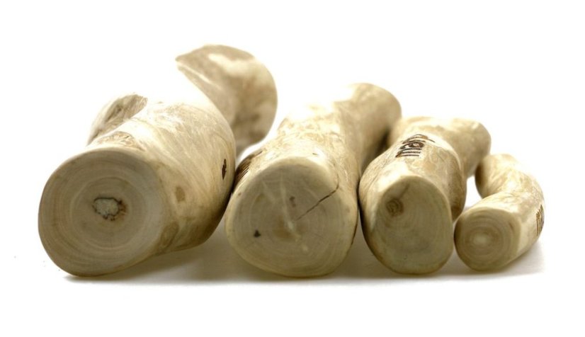 
                                    Marp Holistic - Kávové dřevo M (70 - 100g)
                                