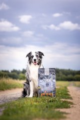 Marp Natural Plus kachna 2kg
Marp Natural Plus kachna 2kg